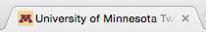 Favicon in a browser address bar next to the words University of Minnesota