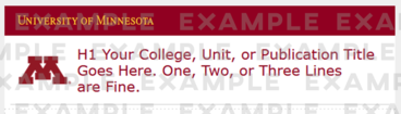 University of Minnesota H1 placeholder text example